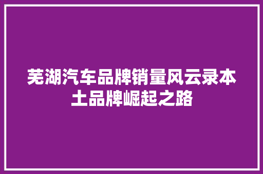 芜湖汽车品牌销量风云录本土品牌崛起之路