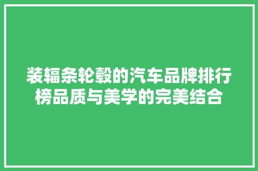 装辐条轮毂的汽车品牌排行榜品质与美学的完美结合