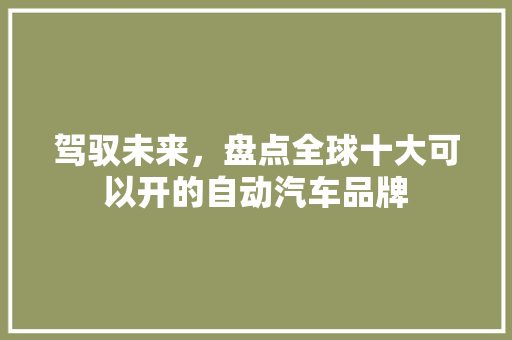 驾驭未来，盘点全球十大可以开的自动汽车品牌