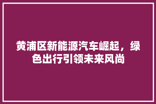 黄浦区新能源汽车崛起，绿色出行引领未来风尚  第1张