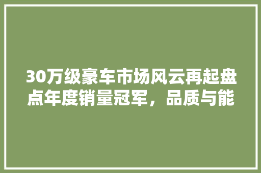 30万级豪车市场风云再起盘点年度销量冠军，品质与能的完美融合