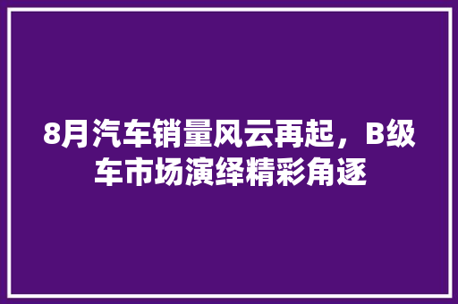 8月汽车销量风云再起，B级车市场演绎精彩角逐