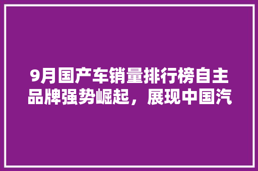 9月国产车销量排行榜自主品牌强势崛起，展现中国汽车工业新风采