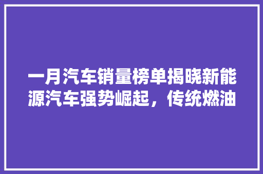 一月汽车销量榜单揭晓新能源汽车强势崛起，传统燃油车面临挑战