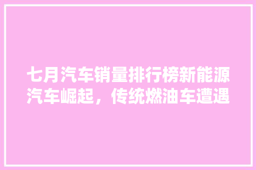 七月汽车销量排行榜新能源汽车崛起，传统燃油车遭遇挑战