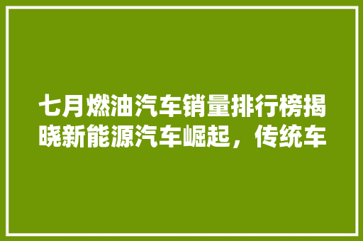 七月燃油汽车销量排行榜揭晓新能源汽车崛起，传统车企面临挑战  第1张