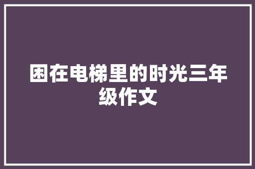 中国产两厢汽车品牌排行榜揭晓品质与创新引领潮流  第1张