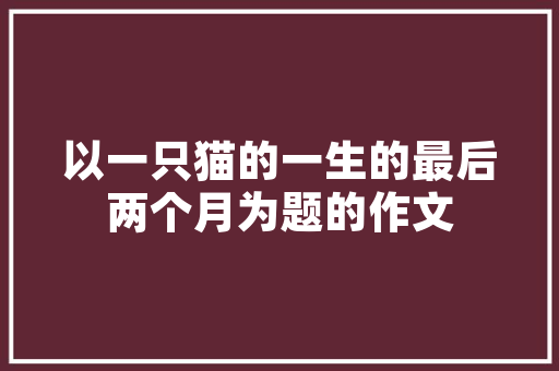 2018年小型汽车销量榜单揭晓市场趋势与消费者偏好