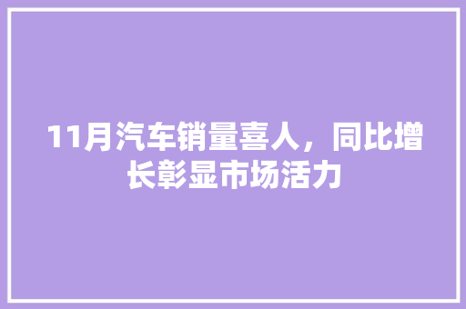 11月汽车销量喜人，同比增长彰显市场活力
