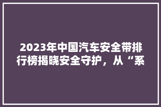 2023年中国汽车安全带排行榜揭晓安全守护，从“系”开始