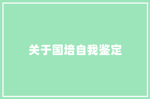 2023仿赛汽车排行榜最新版解读速度与激情的竞技舞台