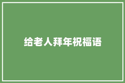 2023大众汽车价格排行榜市场风云变幻，品质与价值并重