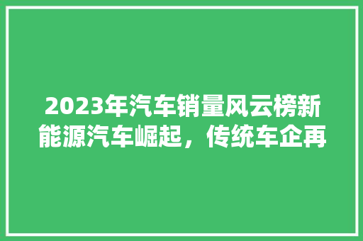 2023年汽车销量风云榜新能源汽车崛起，传统车企再掀竞争热潮