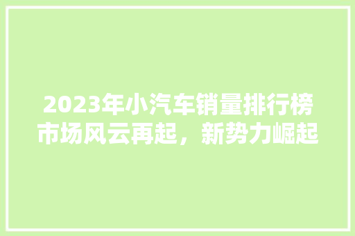 2023年小汽车销量排行榜市场风云再起，新势力崛起