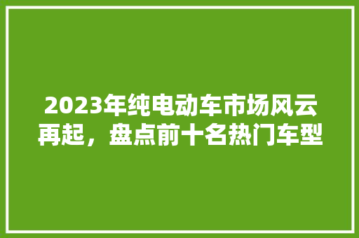 2023年纯电动车市场风云再起，盘点前十名热门车型