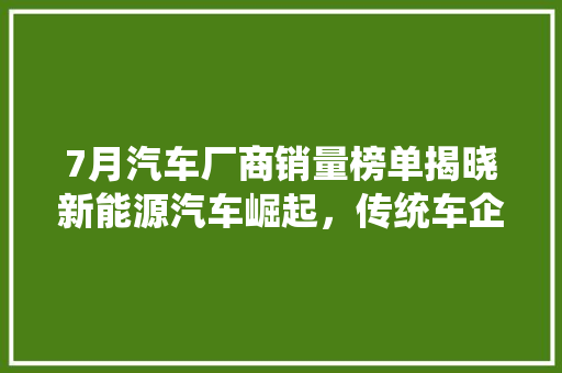 7月汽车厂商销量榜单揭晓新能源汽车崛起，传统车企加速转型
