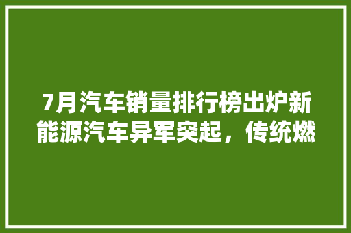 7月汽车销量排行榜出炉新能源汽车异军突起，传统燃油车面临挑战  第1张