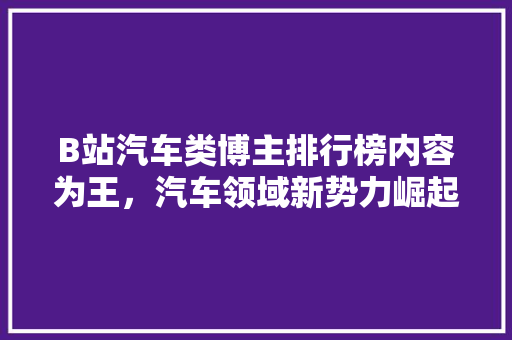 B站汽车类博主排行榜内容为王，汽车领域新势力崛起  第1张