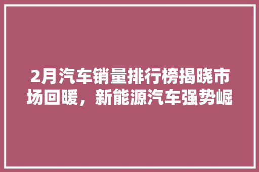 2月汽车销量排行榜揭晓市场回暖，新能源汽车强势崛起  第1张
