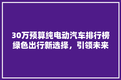 30万预算纯电动汽车排行榜绿色出行新选择，引领未来出行潮流