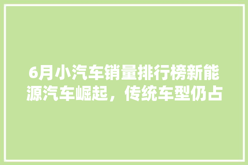 6月小汽车销量排行榜新能源汽车崛起，传统车型仍占鳌头