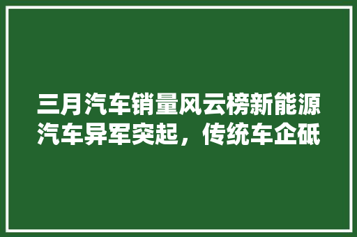 三月汽车销量风云榜新能源汽车异军突起，传统车企砥砺前行  第1张