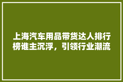 上海汽车用品带货达人排行榜谁主沉浮，引领行业潮流