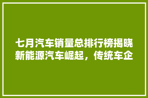 七月汽车销量总排行榜揭晓新能源汽车崛起，传统车企面临挑战  第1张