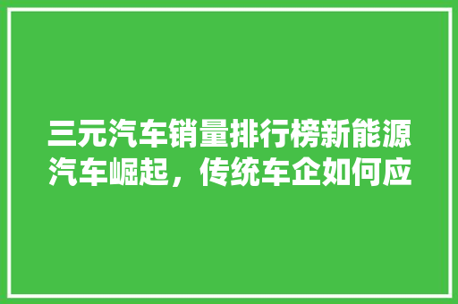 三元汽车销量排行榜新能源汽车崛起，传统车企如何应对