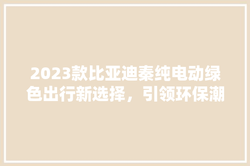 2023款比亚迪秦纯电动绿色出行新选择，引领环保潮流