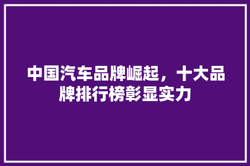 中国汽车品牌崛起，十大品牌排行榜彰显实力