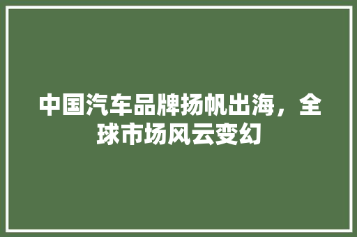 中国汽车品牌扬帆出海，全球市场风云变幻