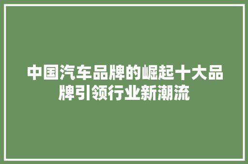 中国汽车品牌的崛起十大品牌引领行业新潮流