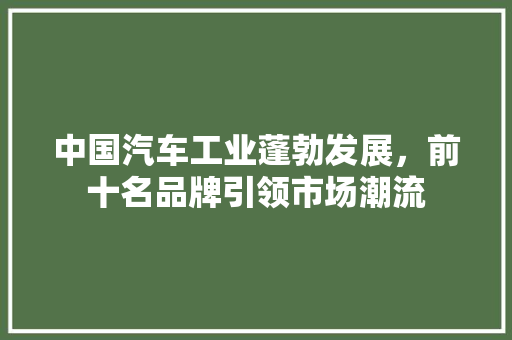 中国汽车工业蓬勃发展，前十名品牌引领市场潮流