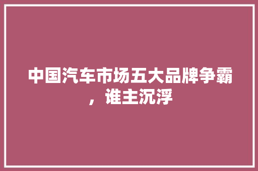 中国汽车市场五大品牌争霸，谁主沉浮