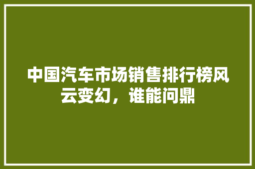 中国汽车市场销售排行榜风云变幻，谁能问鼎