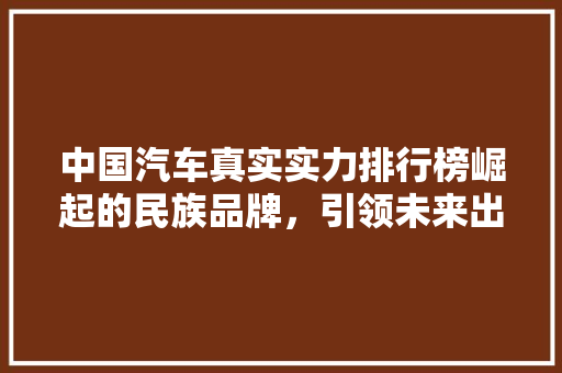 中国汽车真实实力排行榜崛起的民族品牌，引领未来出行潮流