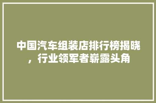 中国汽车组装店排行榜揭晓，行业领军者崭露头角
