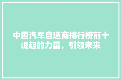 中国汽车自造商排行榜前十崛起的力量，引领未来  第1张