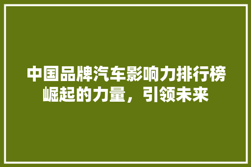 中国品牌汽车影响力排行榜崛起的力量，引领未来
