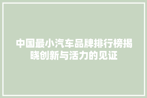 中国最小汽车品牌排行榜揭晓创新与活力的见证
