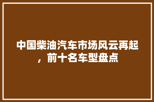 中国柴油汽车市场风云再起，前十名车型盘点  第1张