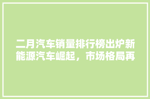 二月汽车销量排行榜出炉新能源汽车崛起，市场格局再塑