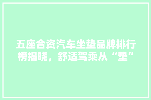 五座合资汽车坐垫品牌排行榜揭晓，舒适驾乘从“垫”开始