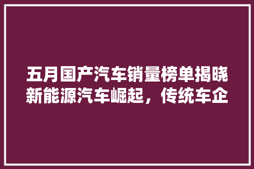 五月国产汽车销量榜单揭晓新能源汽车崛起，传统车企稳扎稳打  第1张