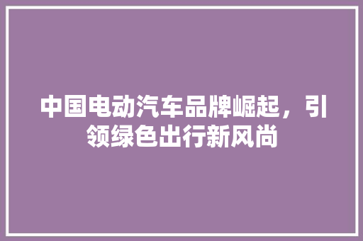 中国电动汽车品牌崛起，引领绿色出行新风尚