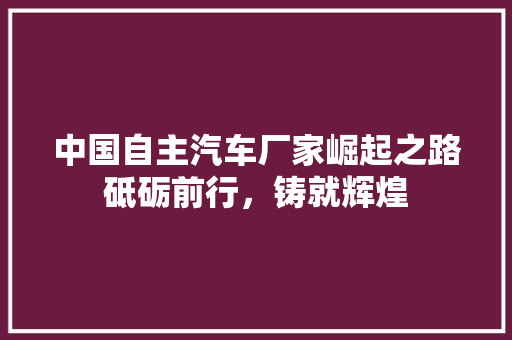 中国自主汽车厂家崛起之路砥砺前行，铸就辉煌