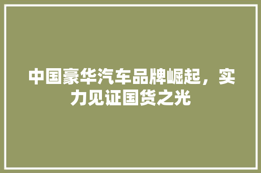 中国豪华汽车品牌崛起，实力见证国货之光