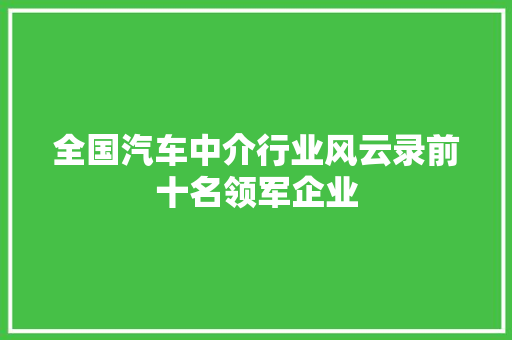 全国汽车中介行业风云录前十名领军企业