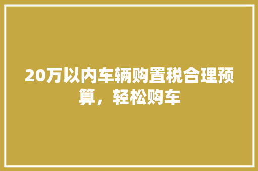 20万以内车辆购置税合理预算，轻松购车
